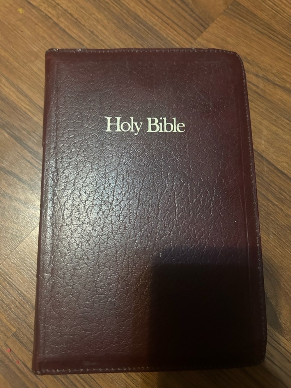 Holy Bible New American Catholic 1970 Edition Nelson 9053ZBG  Leather Zip  Cross
